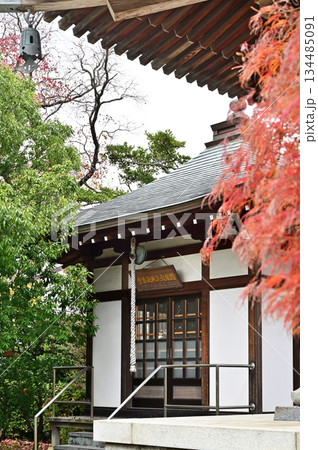 越谷散歩・浄土宗 安国寺 越谷市大泊 越谷散歩・浄土宗 安国寺 越谷市大泊 134485091
