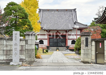 越谷散歩・浄土宗 安国寺　越谷市大泊 134485092