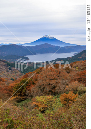 紅葉の大観山から望む芦ノ湖と富士山 紅葉の大観山から望む芦ノ湖と富士山 134485123