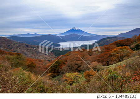 紅葉の大観山から望む芦ノ湖と富士山 紅葉の大観山から望む芦ノ湖と富士山 134485133