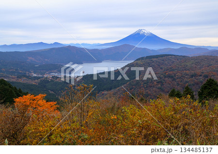 紅葉の大観山から望む芦ノ湖と富士山 紅葉の大観山から望む芦ノ湖と富士山 134485137