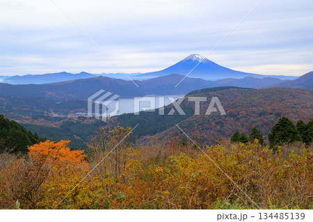 紅葉の大観山から望む芦ノ湖と富士山 紅葉の大観山から望む芦ノ湖と富士山 134485139