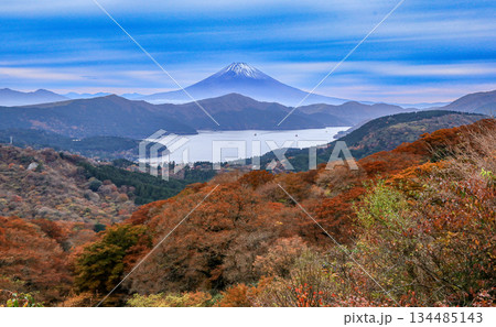紅葉の大観山から望む芦ノ湖と富士山 紅葉の大観山から望む芦ノ湖と富士山 134485143