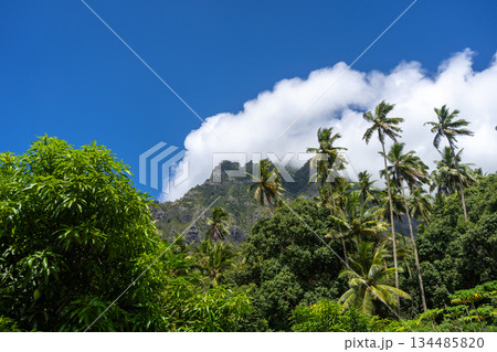 Mount Temetiu near Atuona, Hiva Oa, French Polynesia, Marquesas Islands 134485820