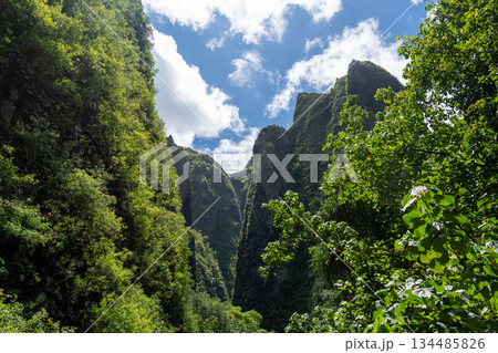 Vaipo waterfall in Hakaui valley, Nuku Hiva, French Polynesia wild nature 134485826