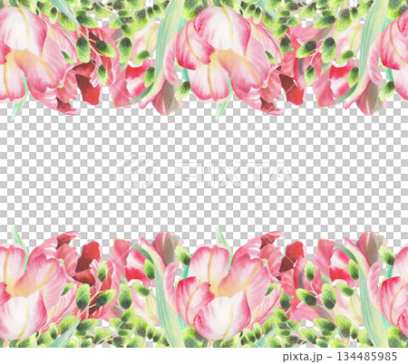 Seamless borders of tulips and willows. Watercolor illustration. For fabric, wallpaper, packing paper, greeting cards, design, decoration and illustration. Seamless borders of tulips and willows. Watercolor illustration. For fabric, wallpaper, packing paper, greeting cards, design, decoration and illustration. 134485985