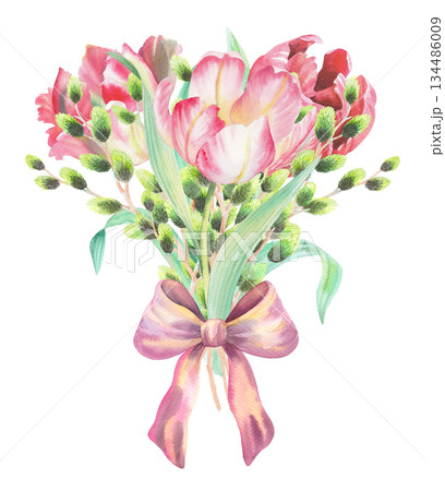 Bouquet of tulips and willows with the bow. Watercolor illustration. For fabric, wallpaper, packing paper, greeting cards, design, decoration and illustration. 134486009
