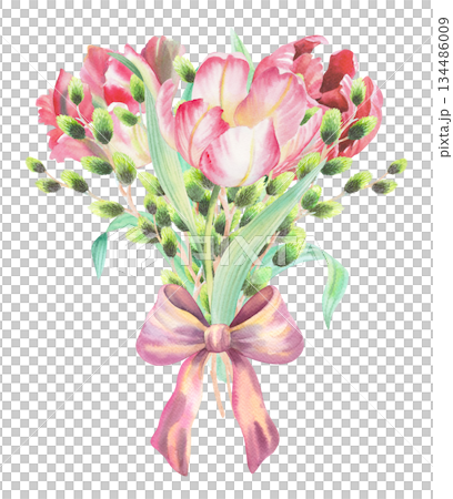 Bouquet of tulips and willows with the bow. Watercolor illustration. For fabric, wallpaper, packing paper, greeting cards, design, decoration and illustration. 134486009