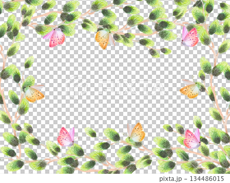 Restangular frame of willow branches and butterflies. Watercolor illustration. For fabric, wallpaper, packing paper, greeting cards, design, decoration and illustration. 134486015