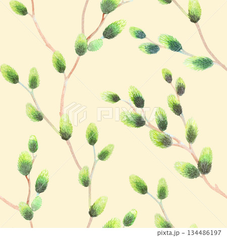 Seamless pattern of easter willow branches on a beige background. Watercolor illustration. For fabric, wallpaper, packing paper, greeting cards, design, decoration and illustration. Seamless pattern of easter willow branches on a beige background. Watercolor illustration. For fabric, wallpaper, packing paper, greeting cards, design, decoration and illustration. 134486197