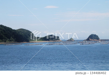 鳥羽湾の真珠養殖筏 134486402