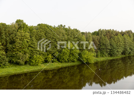 a river with dirty water in the summer in the park, trees growing near the river a river with dirty water in the summer in the park, trees growing near the river 134486482