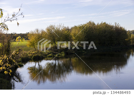 autumn river in sunny weather at sunset, beautiful deciduous trees on the riverbank before the fall of leaves, evening time before sunset 134486493
