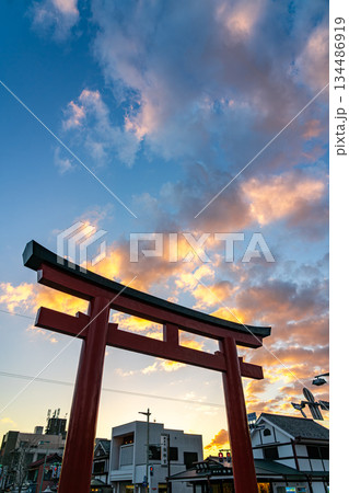【神奈川県】夕暮れの空が美しい鶴岡八幡宮の鳥居 【神奈川県】夕暮れの空が美しい鶴岡八幡宮の鳥居 134486919