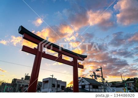 【神奈川県】夕暮れの空が美しい鶴岡八幡宮の鳥居 【神奈川県】夕暮れの空が美しい鶴岡八幡宮の鳥居 134486920
