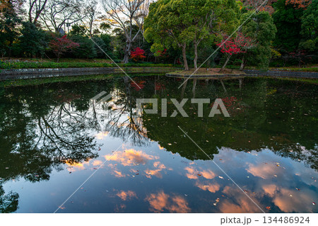 【神奈川県】鶴岡八幡宮の平家池に映り込む美しい夕暮れの空 【神奈川県】鶴岡八幡宮の平家池に映り込む美しい夕暮れの空 134486924