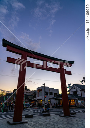 【神奈川県】夕暮れの空が美しい鶴岡八幡宮の鳥居 134486930