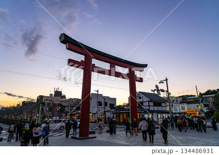 【神奈川県】夕暮れの空が美しい鶴岡八幡宮の鳥居 【神奈川県】夕暮れの空が美しい鶴岡八幡宮の鳥居 134486931