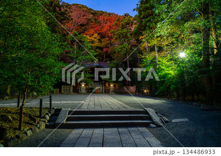 【神奈川県】山の紅葉が綺麗な鶴岡八幡宮にある白旗神社 134486933