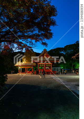 【神奈川県】日没後にライトアップされた鎌倉の鶴岡八幡宮 134486934