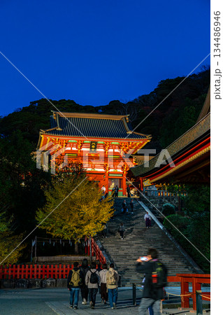 【神奈川県】日没後にライトアップされた鎌倉の鶴岡八幡宮 【神奈川県】日没後にライトアップされた鎌倉の鶴岡八幡宮 134486946