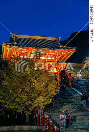 【神奈川県】大銀杏が綺麗な夜の鶴岡八幡宮 134486949
