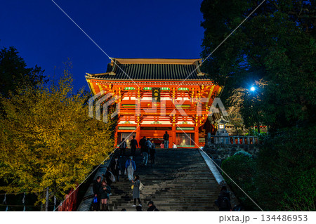 【神奈川県】大銀杏が綺麗な夜の鶴岡八幡宮 134486953