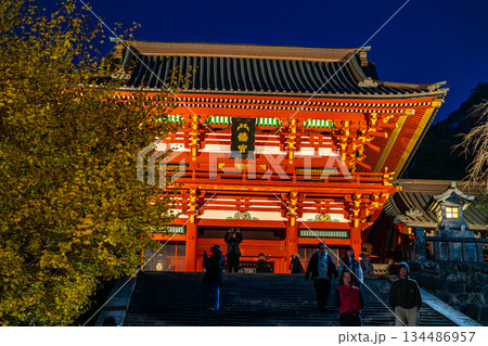 【神奈川県】大銀杏が綺麗な夜の鶴岡八幡宮 134486957