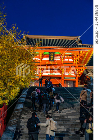 【神奈川県】大銀杏が綺麗な夜の鶴岡八幡宮 134486958
