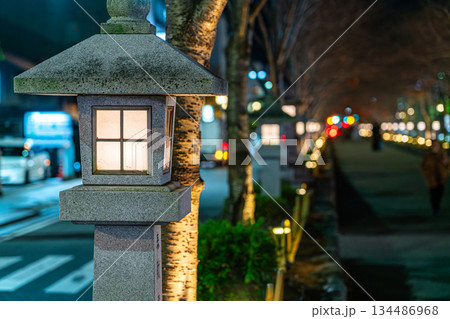【神奈川県】鎌倉にある若宮大路の段葛に並ぶ灯籠の灯り 【神奈川県】鎌倉にある若宮大路の段葛に並ぶ灯籠の灯り 134486968