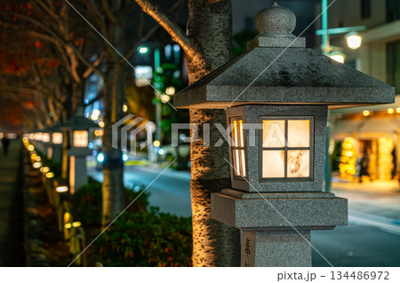 【神奈川県】鎌倉にある若宮大路の段葛に並ぶ灯籠の灯り 134486972