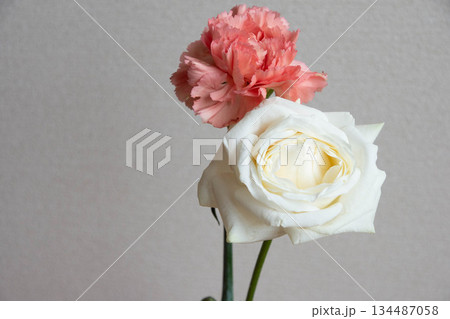 ばらとカーネーション 134487058