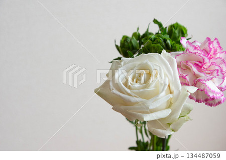 ばらとカーネーション 134487059