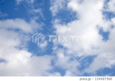 青空 晴れ 冬の空 空 素材 12月 【神奈川県】 134487360