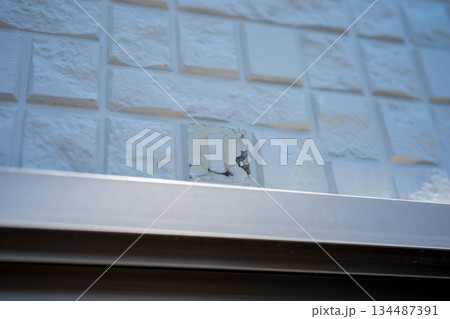 various various 134487391