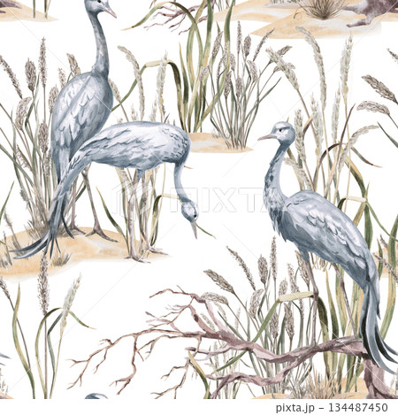 A seamless pattern with cranes among marsh grasses. Watercolor illustration for eco-projects, posters, hotel designs, and nature reserve websites. A seamless pattern with cranes among marsh grasses. Watercolor illustration for eco-projects, posters, hotel designs, and nature reserve websites. 134487450