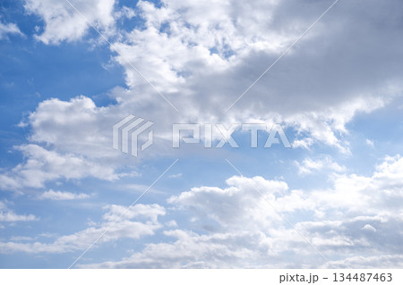 青空 晴れ 冬の空 空 素材 12月 【神奈川県】 134487463