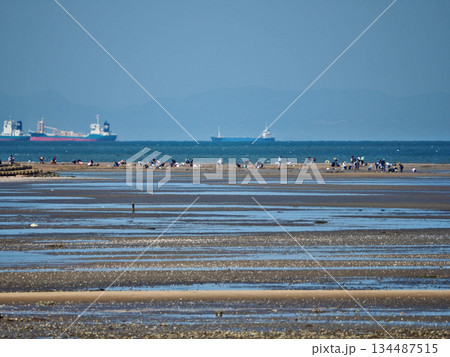 海の広い干潟で潮干狩りをする光景 海の広い干潟で潮干狩りをする光景 134487515