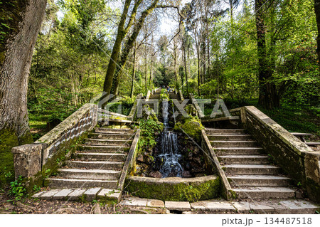 Aveiro, Portugal - Mar 18, 2025: Famous water stairway Fonte Fria in the ancient forest of Bussaco in Luso, Portugal Aveiro, Portugal - Mar 18, 2025: Famous water stairway Fonte Fria in the ancient forest of Bussaco in Luso, Portugal 134487518