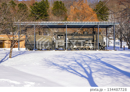 夕張鉄道21号機（栗山公園） 134487728
