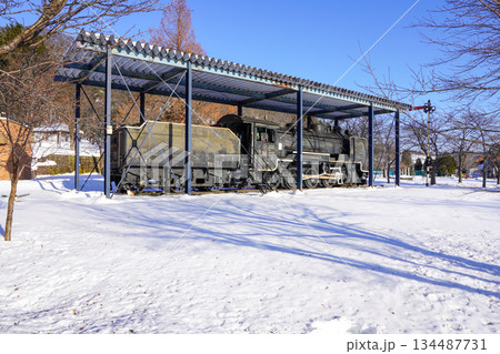 夕張鉄道21号機(栗山公園) 夕張鉄道21号機(栗山公園) 134487731