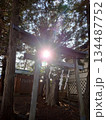 松本市　戸隠神社鳥居　光　太陽 134487752