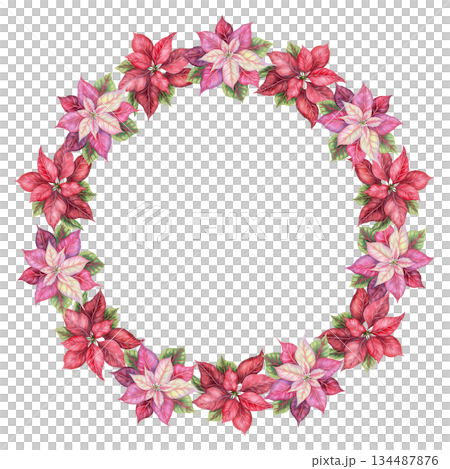 Christmas wreath of pink and red poinsettia flowers in the circle shape. Hand painted watercolor create a traditional winter mood. Perfect for festive frame template and greeting card design. Christmas wreath of pink and red poinsettia flowers in the circle shape. Hand painted watercolor create a traditional winter mood. Perfect for festive frame template and greeting card design. 134487876