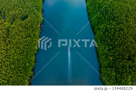 aerial drone top view mangrove forest and tourist boat , Phang nga bay, Thailand 134488229