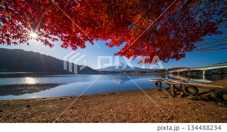 Mountain fuji with red maple in Autumn, Kawaguchiko Lake, Japan 134488234