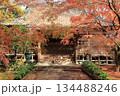 筑西市のもみじが黄葉した最勝寺本堂 134488246