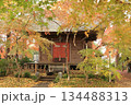 筑西市の紅葉したもみじに囲まれた最勝寺薬師堂 134488313
