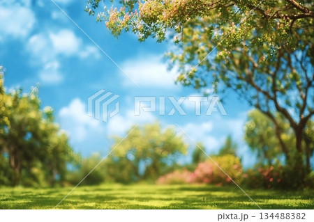 Beautiful blurred background image of spring nature with surrounded by trees against a blue sky with clouds on a bright sunny day. Beautiful blurred background image of spring nature with surrounded by trees against a blue sky with clouds on a bright sunny day. 134488382
