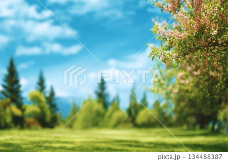 Beautiful blurred background image of spring nature with surrounded by trees against a blue sky with clouds on a bright sunny day. Beautiful blurred background image of spring nature with surrounded by trees against a blue sky with clouds on a bright sunny day. 134488387