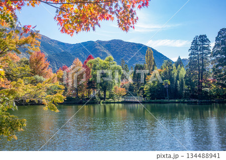 湯布院金鱗湖の紅葉 134488941